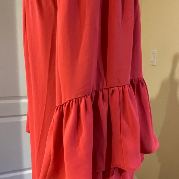 WHBM Ruffled Dress - Picture 12 of 14